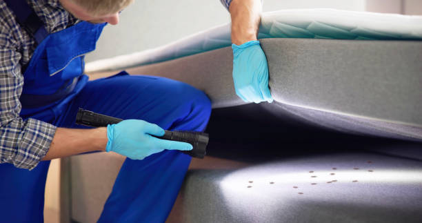 Best Pest Inspection Near Me  in Vero Beach South, FL