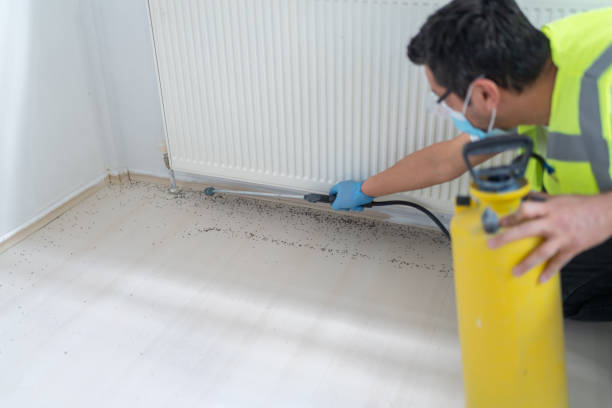 Best Flea Control Services  in Vero Beach South, FL