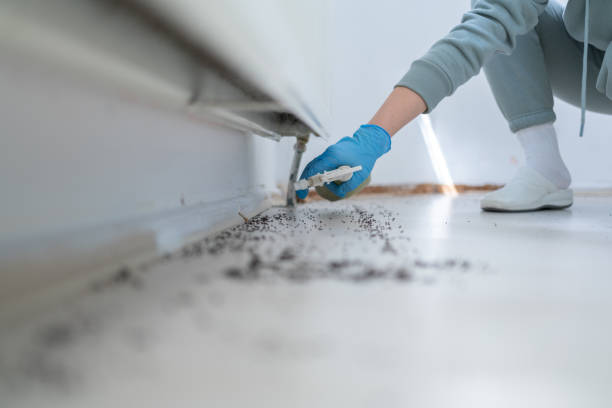 Best Exterminator Services  in Vero Beach South, FL
